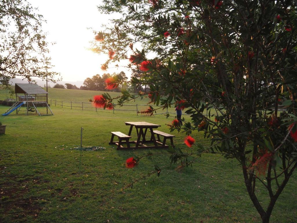 Caladdi Bed And Breakfast Durban Dış mekan fotoğraf